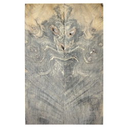 Drewno stabilizowane Buckeye Burl czeczot okładki 8x54x179mm SBSC96